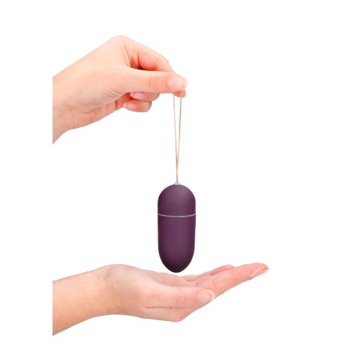 10 Speed Remote Vibrating Egg BIG Purple