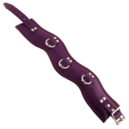 Rouge Garments Purple Padded Posture Collar Premium