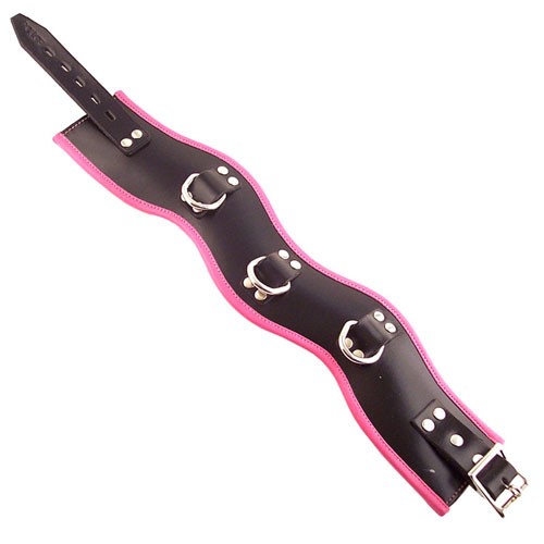 Rouge Garments Padded Posture Collar for BDSM Adventures