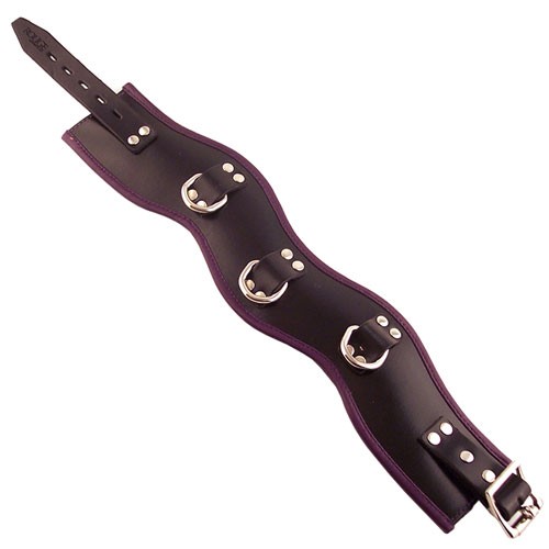 Rouge Garments Padded Posture Collar for BDSM Play