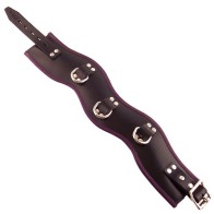 Collar de Postura Acolchado Rouge para Juegos BDSM