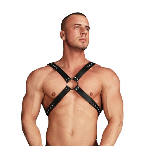 Ouch Adonis High Halter Harness for Eye-Catching Style