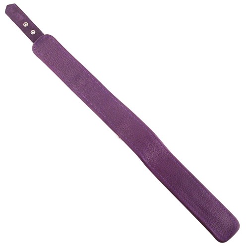 Plain Purple Leather Collar for BDSM Play