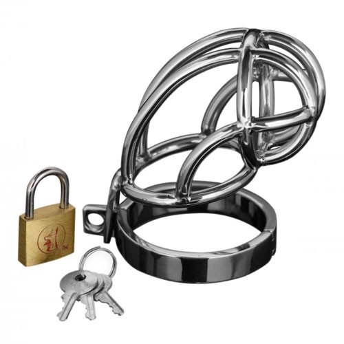 Master Series Stainless Steel Chastity Cage for Ultimate Control