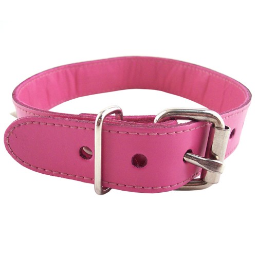 Rouge Garments Pink Studded O-Ring Collar for Unique Style