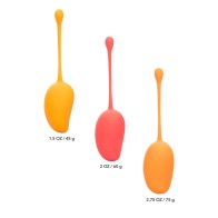 Juego de Entrenamiento Kegel Mango para Fortalecimiento Pélvico