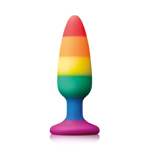 Pride Pleasure Plug Rainbow Medium for Vibrant Sensations