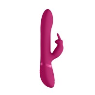 Vive Amoris Pink Rabbit Vibrator for Ultimate Climax