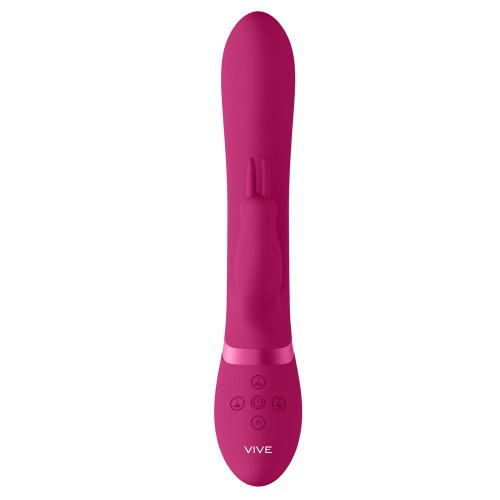 Vive Amoris Pink Rabbit Vibrator for Ultimate Climax