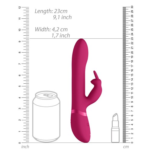 Vive Amoris Pink Rabbit Vibrator for Ultimate Climax