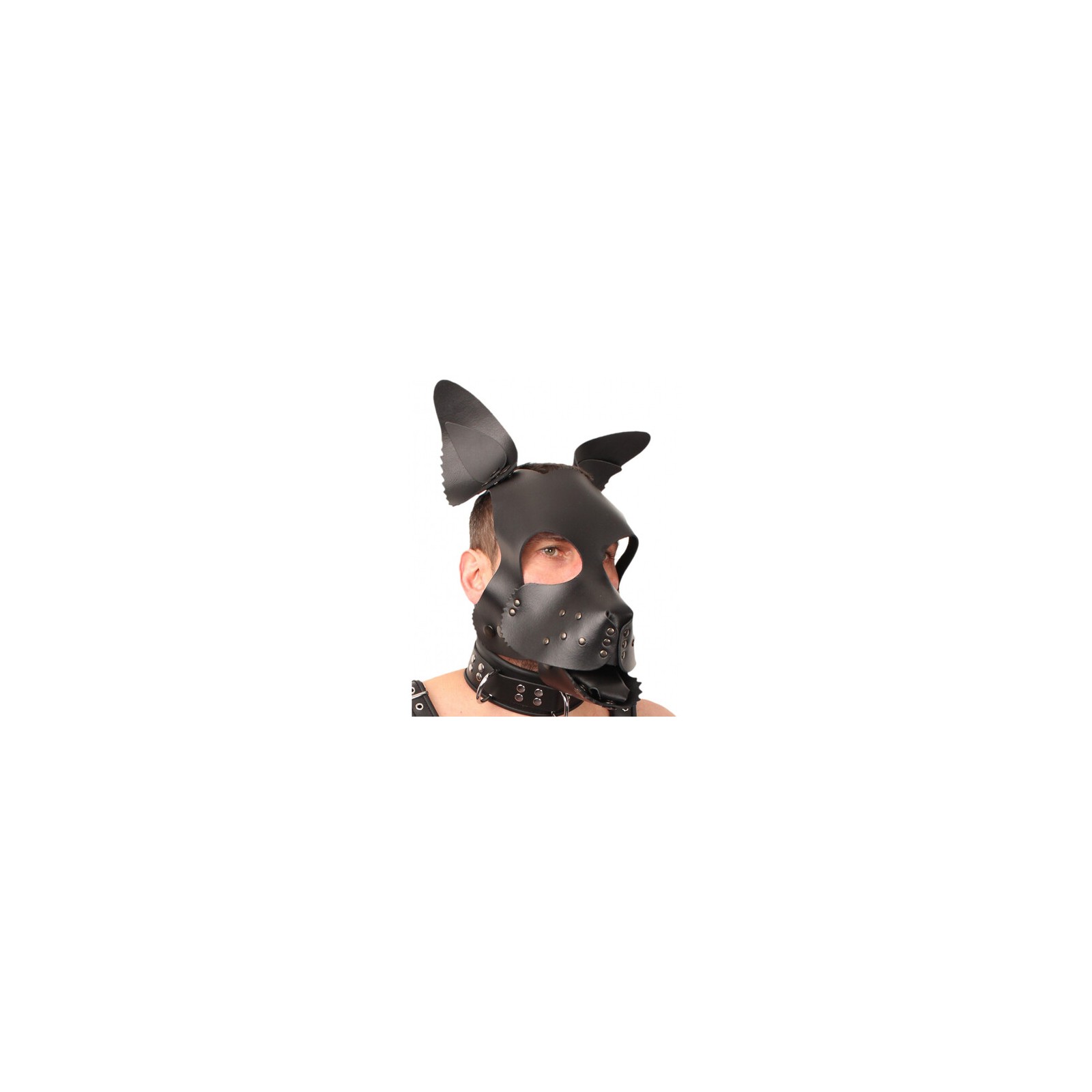 The Red Leather Puppy Dog Mask